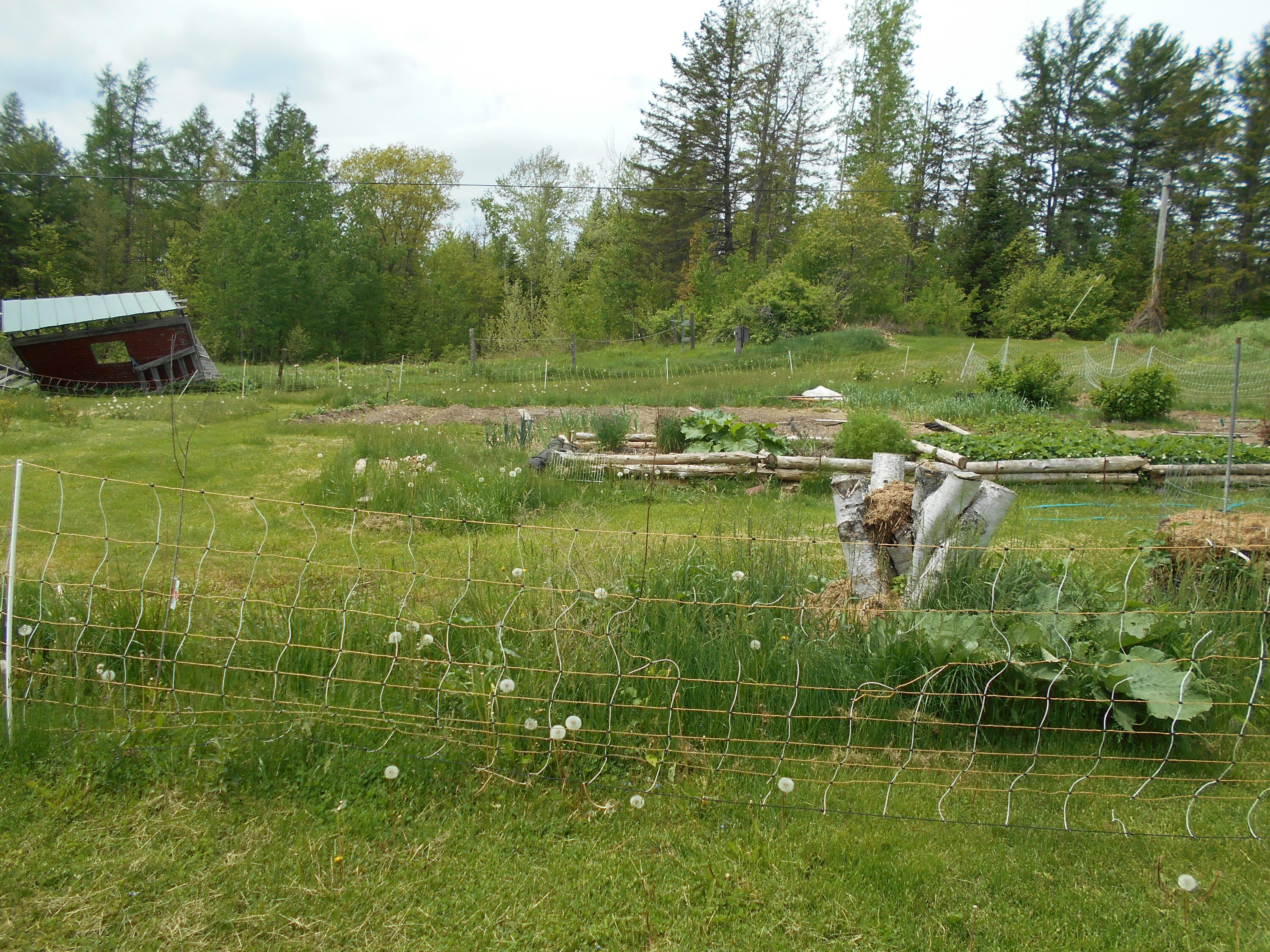 840 North Chester Road Lincoln, ME 04457 - Photo 16 of 68 DSCN7767