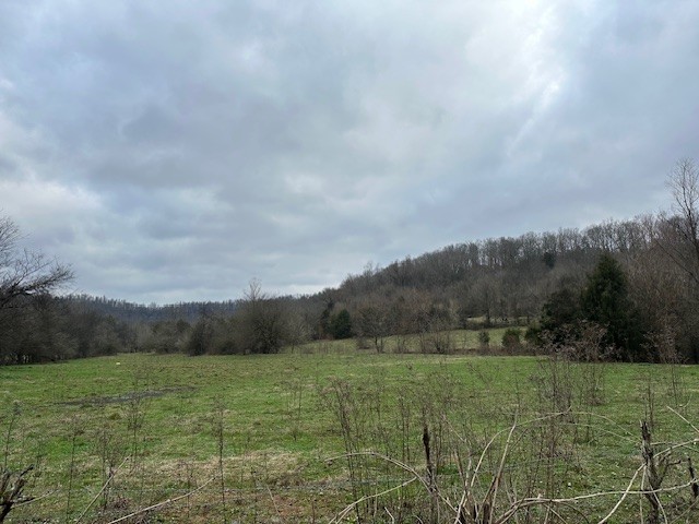 0 Petersburg-Chestnut Ridge Road Petersburg, TN 37144 - Photo 1 of 4 Gallery Image 1