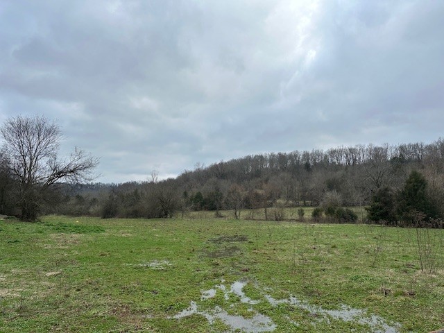 0 Petersburg-Chestnut Ridge Road Petersburg, TN 37144 - Photo 2 of 4 Gallery Image 2