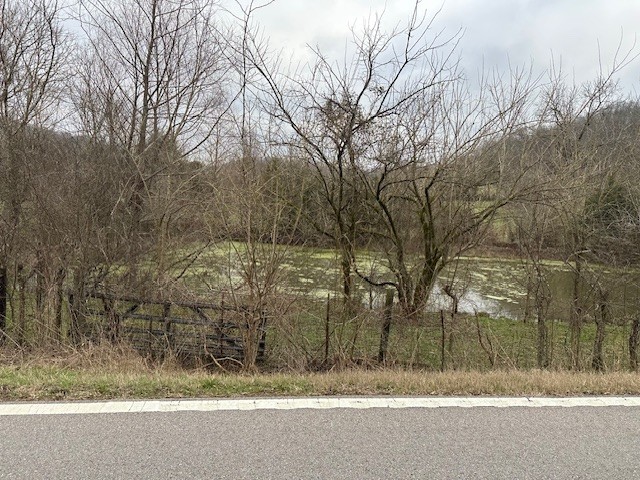 0 Petersburg-Chestnut Ridge Road Petersburg, TN 37144 - Photo 4 of 4 Gallery Image 4