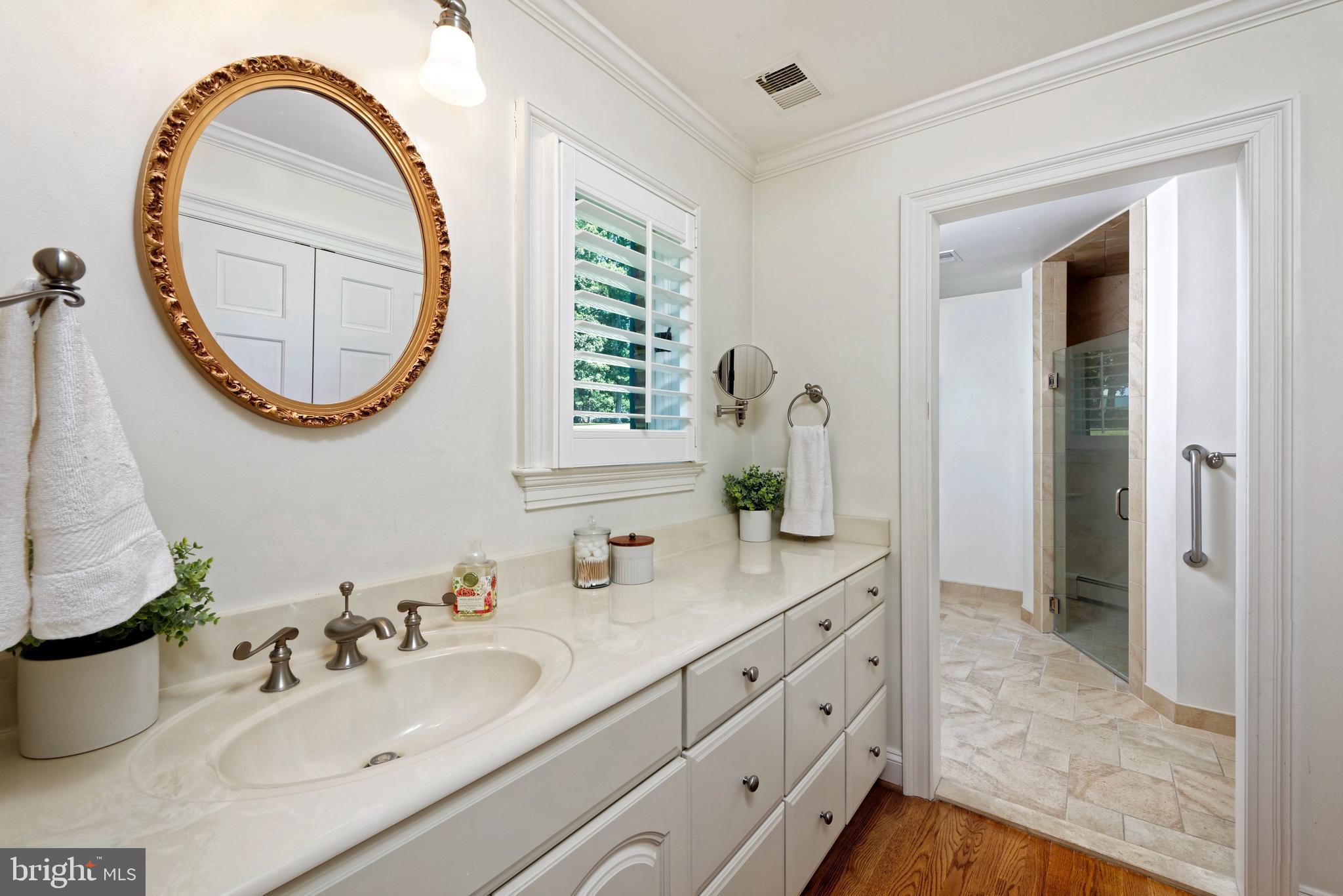 1310 Delaplane Grade Road Upperville, VA 20184 - Photo 33 of 94 Luxury primary bath has oversized dual shower