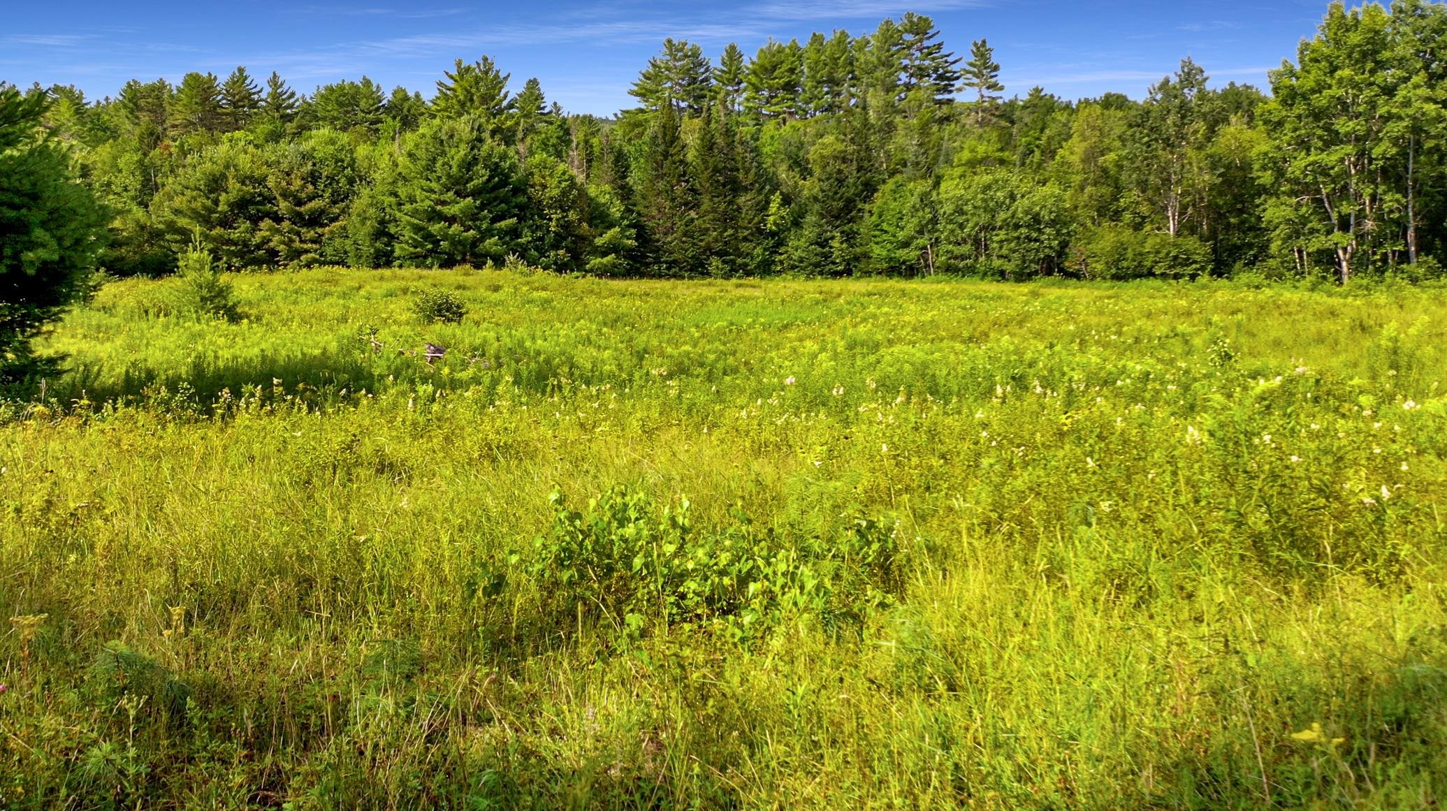 218 Nutting Road Sunapee, NH 03782 - Photo 11 of 13