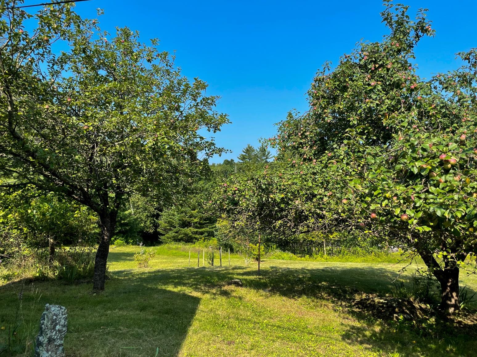 218 Nutting Road Sunapee, NH 03782 - Photo 4 of 13