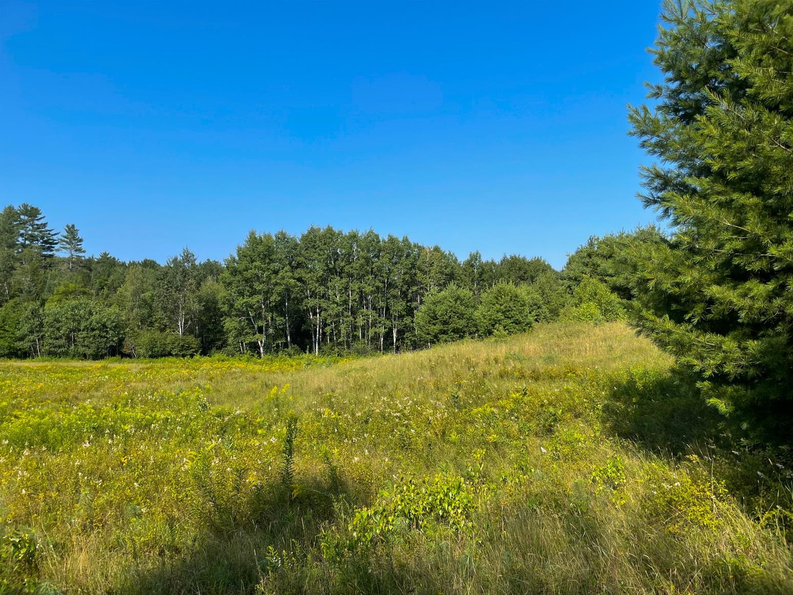 218 Nutting Road Sunapee, NH 03782 - Photo 6 of 13