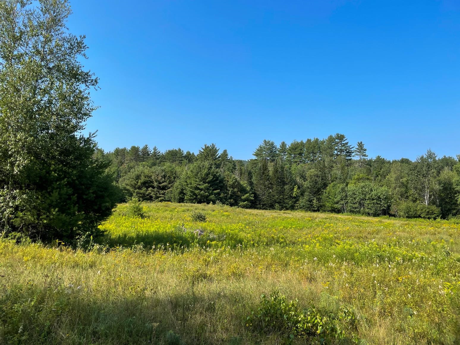 218 Nutting Road Sunapee, NH 03782 - Photo 7 of 13