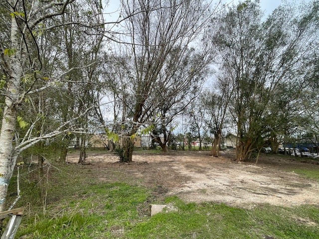 7431 Rodgers Road Manvel, TX 77578 - Photo 2 of 8