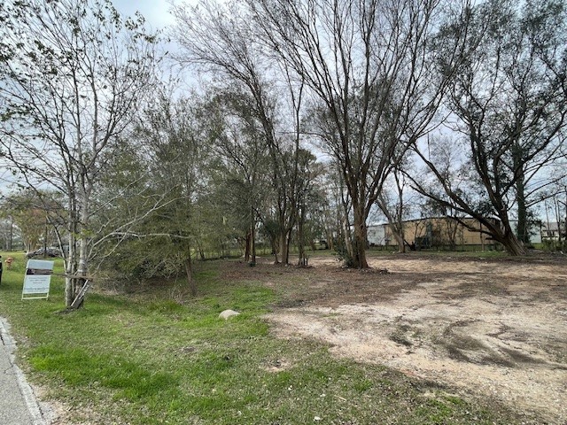 7431 Rodgers Road Manvel, TX 77578 - Photo 3 of 8