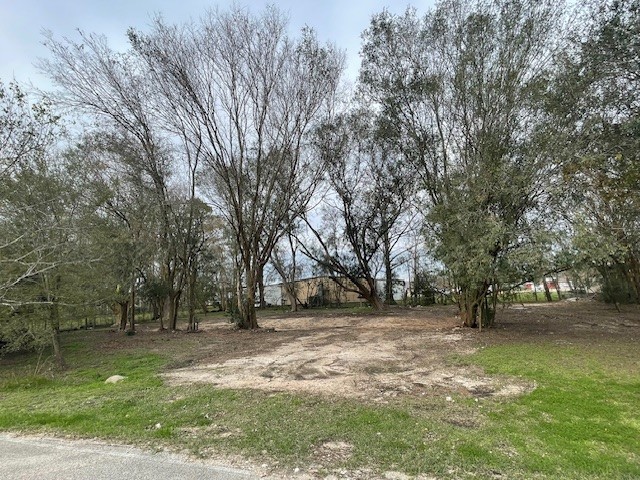 7431 Rodgers Road Manvel, TX 77578 - Photo 4 of 8