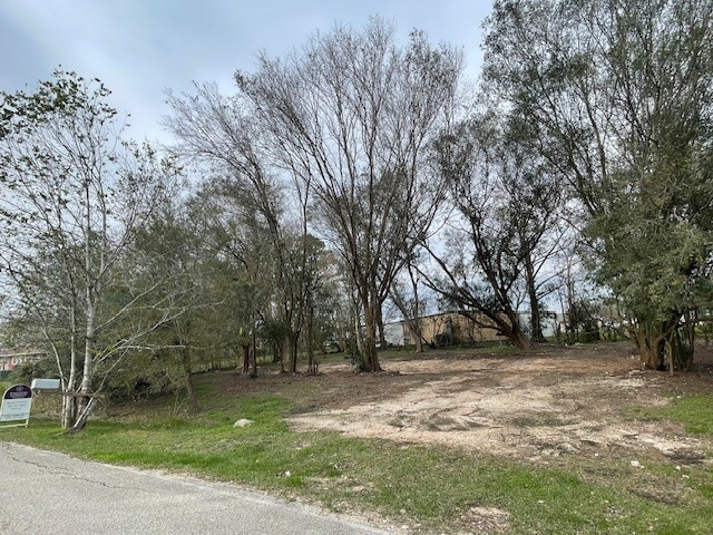 7431 Rodgers Road Manvel, TX 77578 - Photo 5 of 8