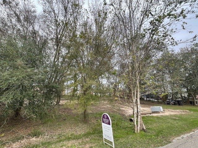 7431 Rodgers Road Manvel, TX 77578 - Photo 6 of 8