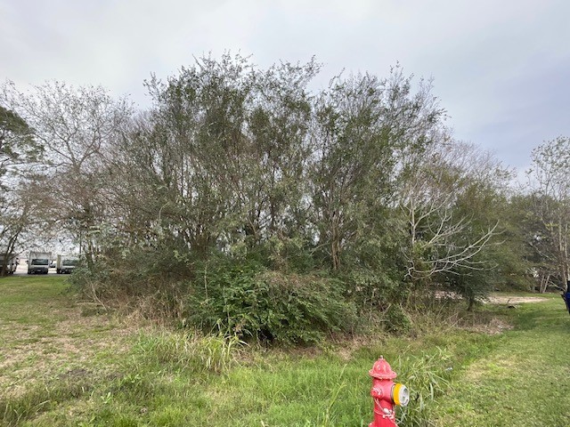 7431 Rodgers Road Manvel, TX 77578 - Photo 7 of 8