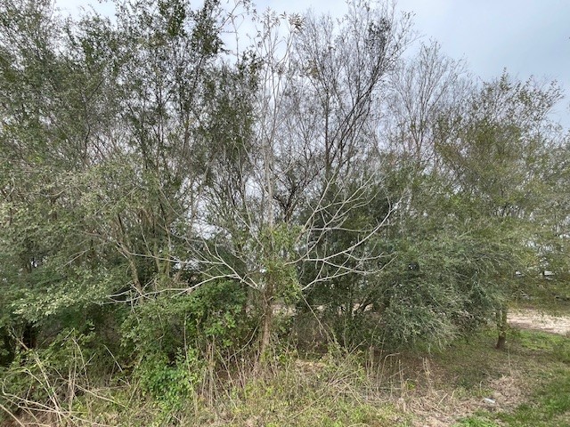 7431 Rodgers Road Manvel, TX 77578 - Photo 8 of 8