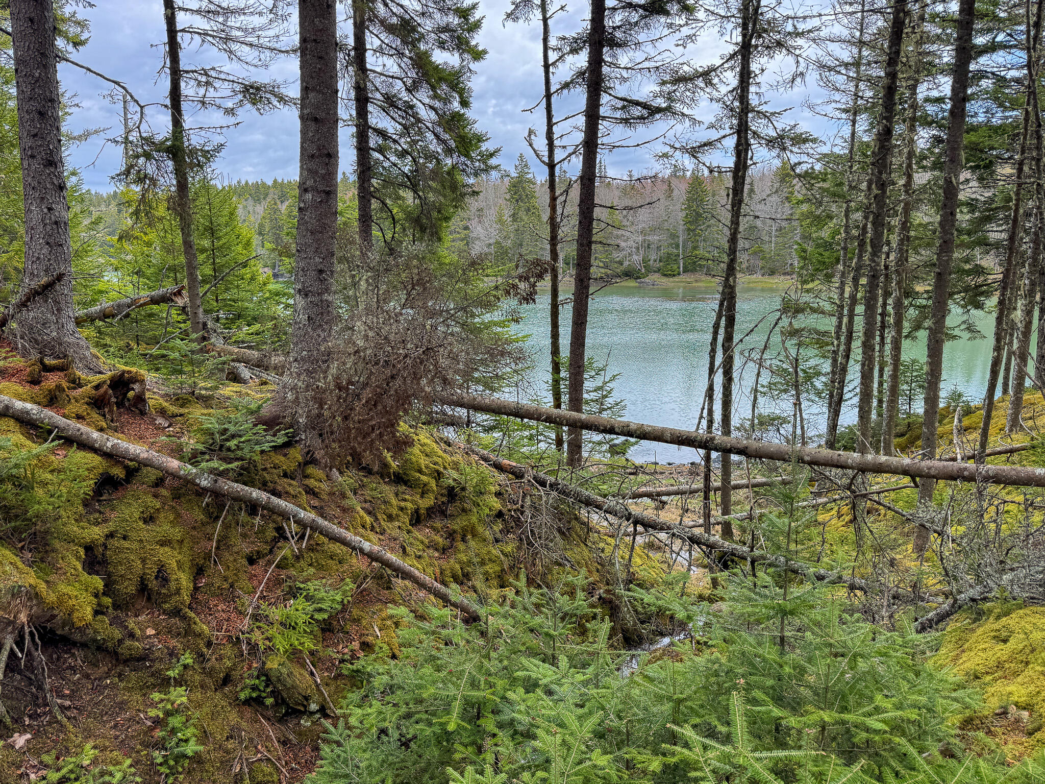 Lot 46 Yoho Head Road Machiasport, ME 04655 - Photo 8 of 22 8
