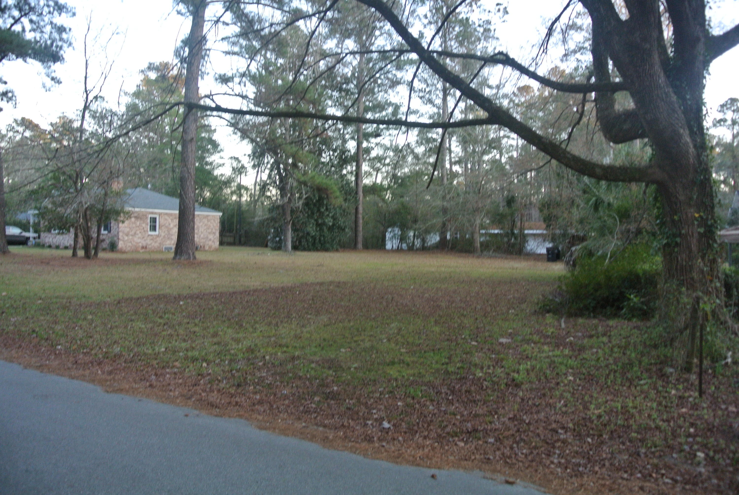 217 Overhill Road Walterboro, SC 29488 - Photo 1 of 8 DSC_5682