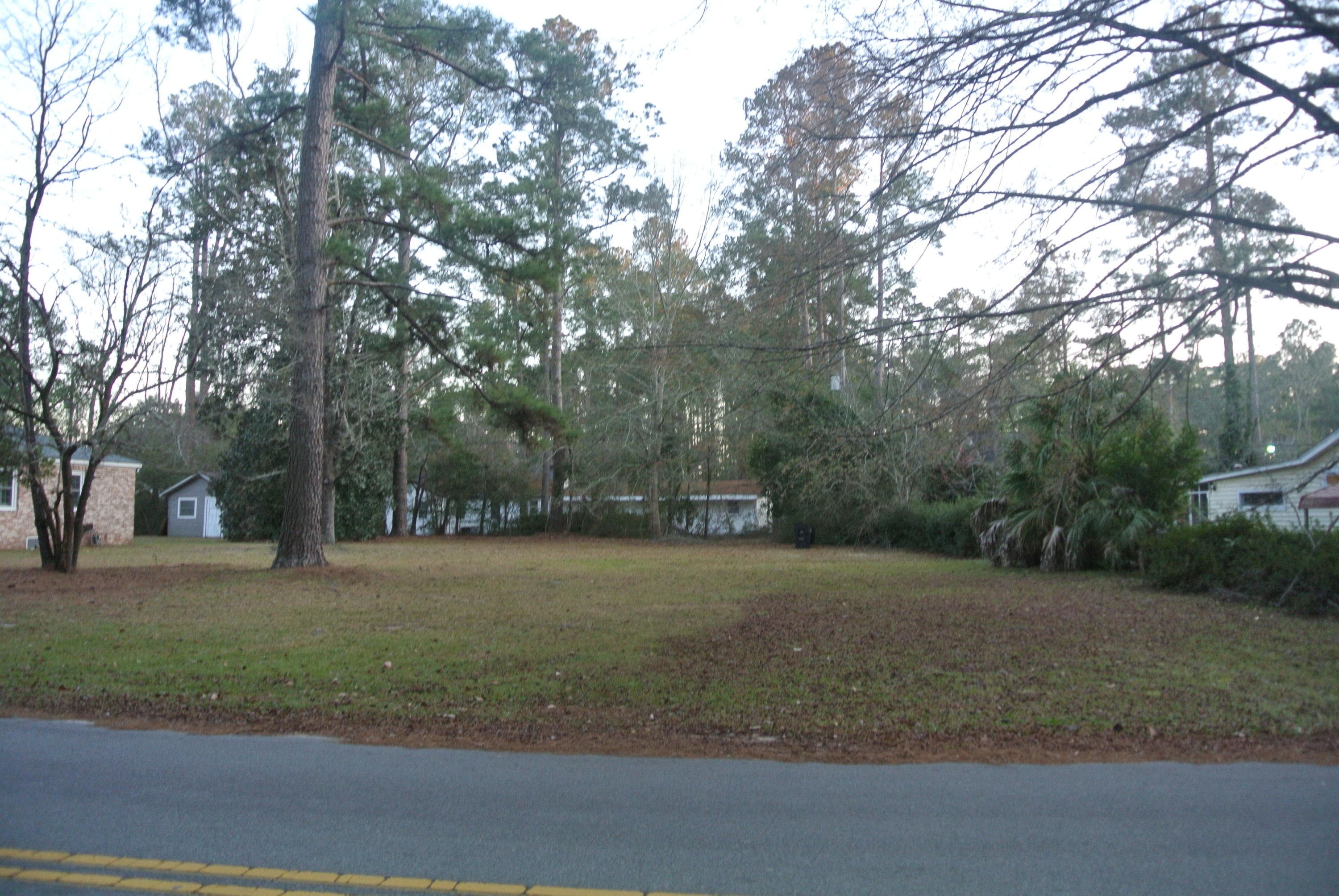 217 Overhill Road Walterboro, SC 29488 - Photo 3 of 8 DSC_5684