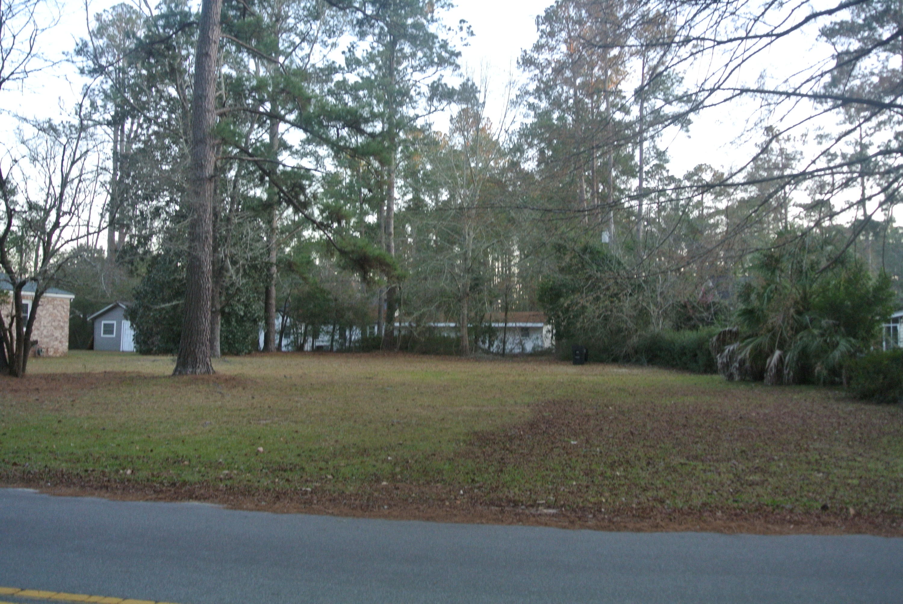 217 Overhill Road Walterboro, SC 29488 - Photo 4 of 8 DSC_5685
