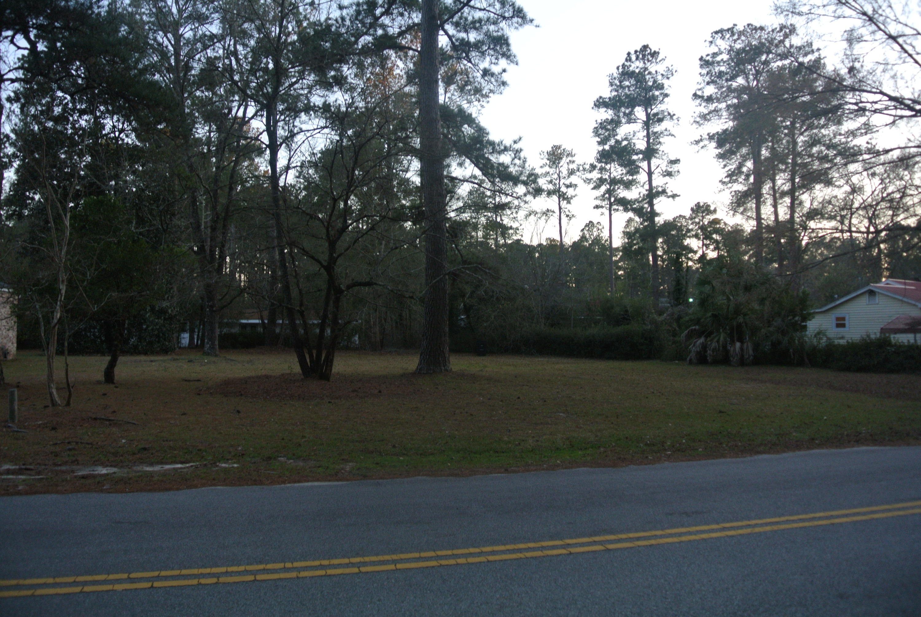 217 Overhill Road Walterboro, SC 29488 - Photo 5 of 8 DSC_5686