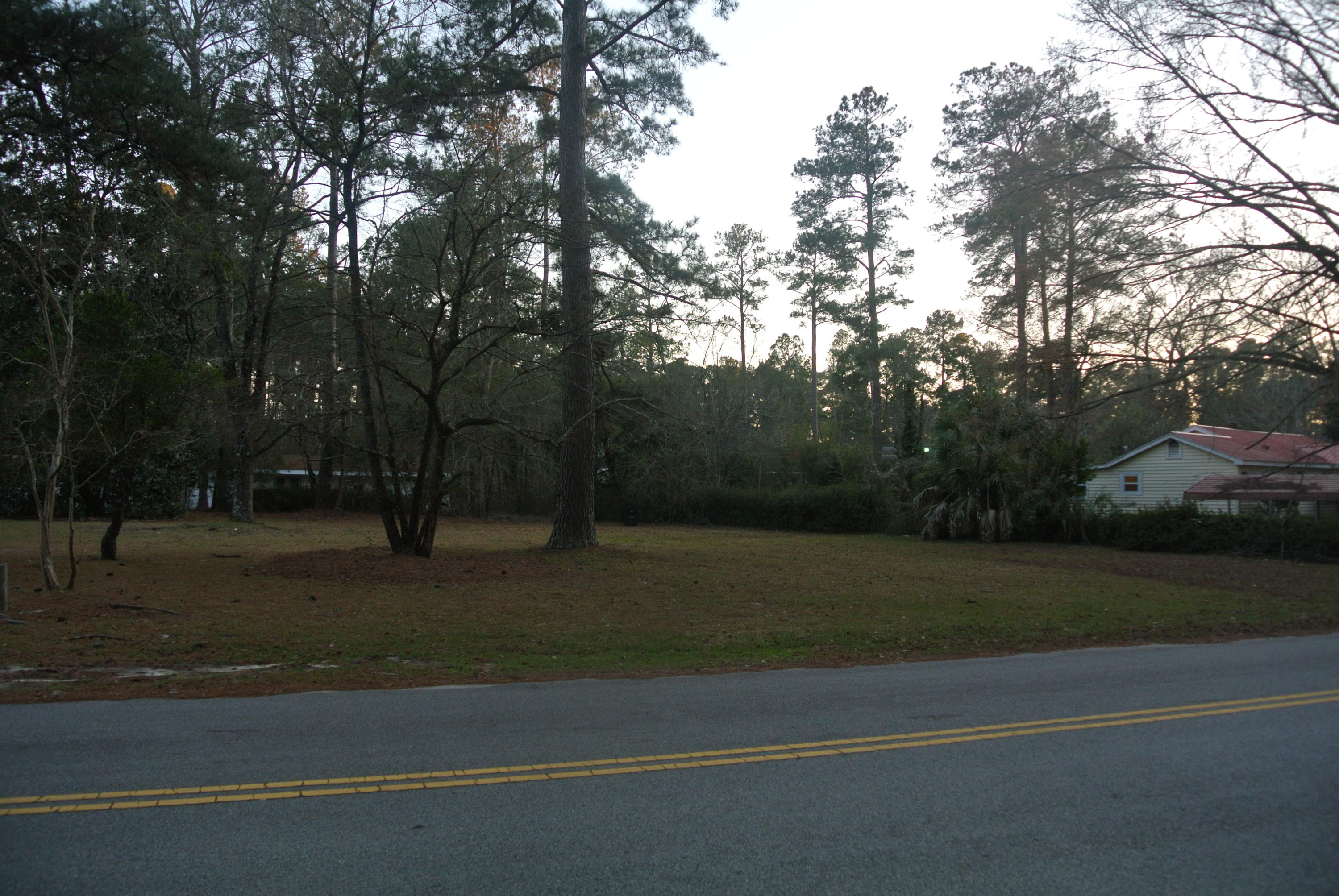 217 Overhill Road Walterboro, SC 29488 - Photo 6 of 8 DSC_5689