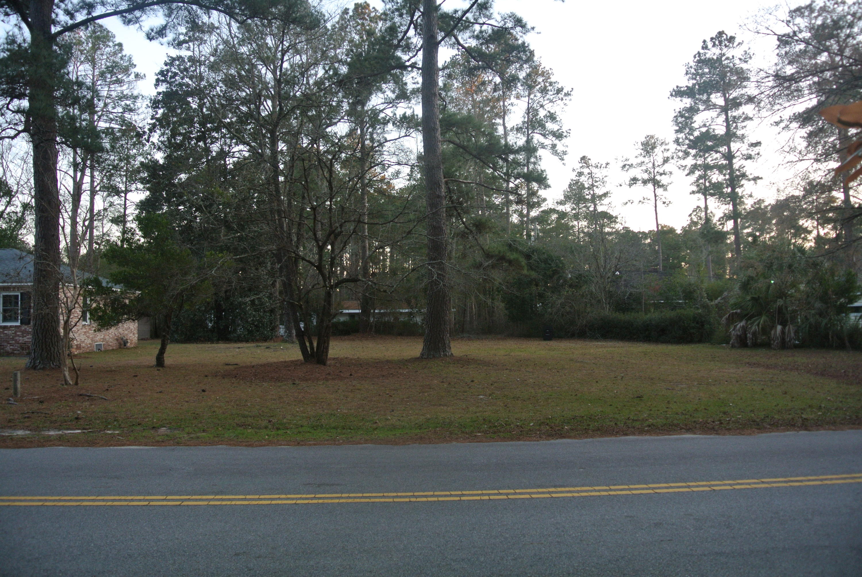 217 Overhill Road Walterboro, SC 29488 - Photo 7 of 8 DSC_5690