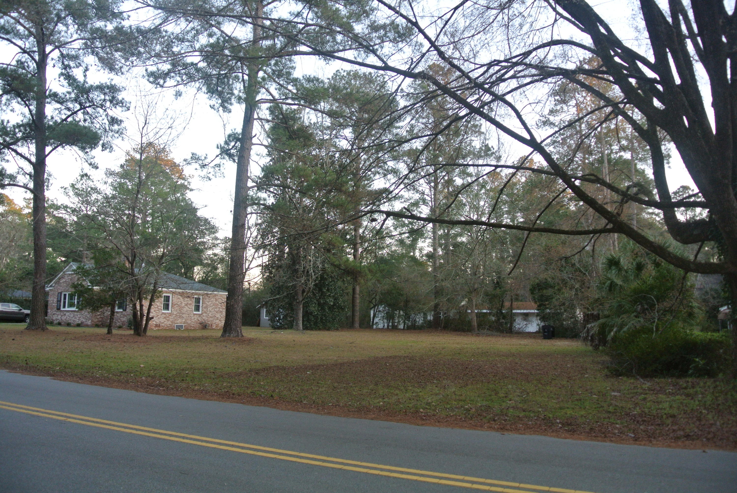 217 Overhill Road Walterboro, SC 29488 - Photo 8 of 8 DSC_5691