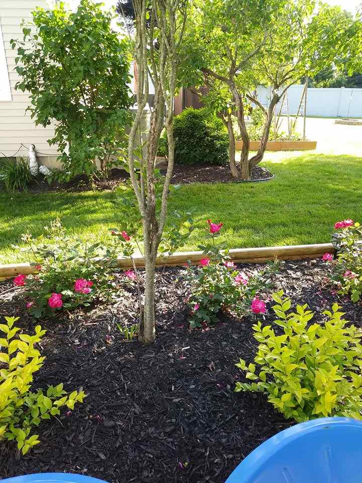 413 Old Bridge Road Grand Blanc, MI 48439 - Photo 10 of 49 Back Yard View