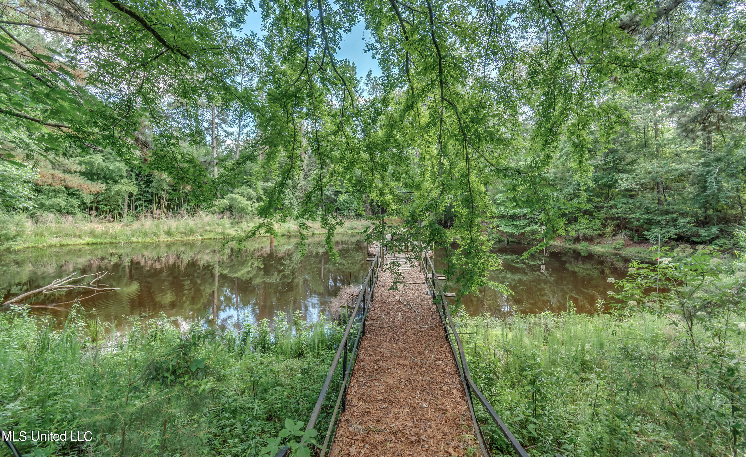 601 Scr 64a Mize, MS 39116 - Photo 64 of 100 601 CR 64A-90