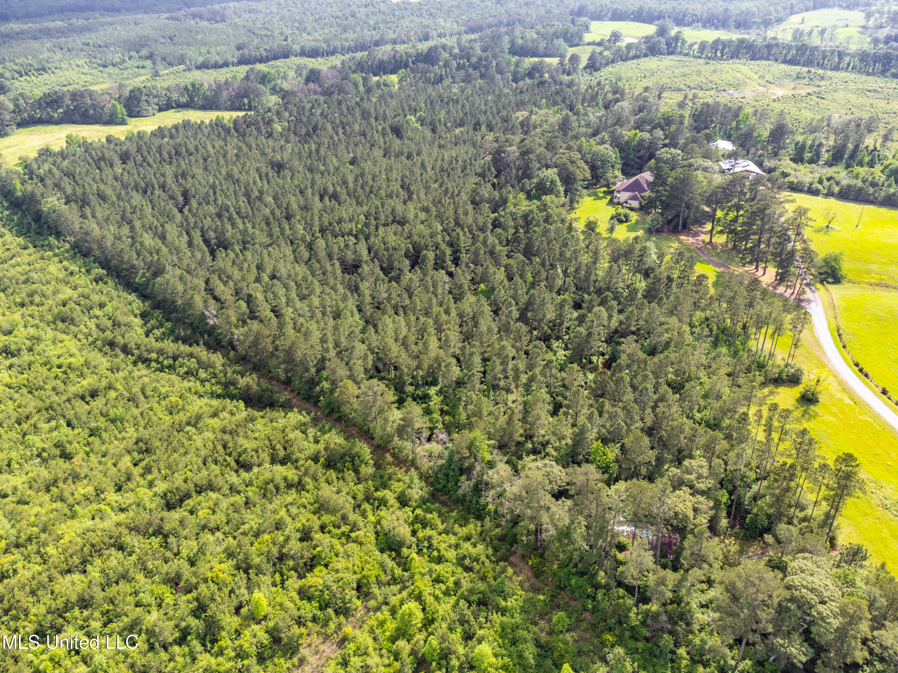 601 Scr 64a Mize, MS 39116 - Photo 84 of 100 601 CR 64A drone-23