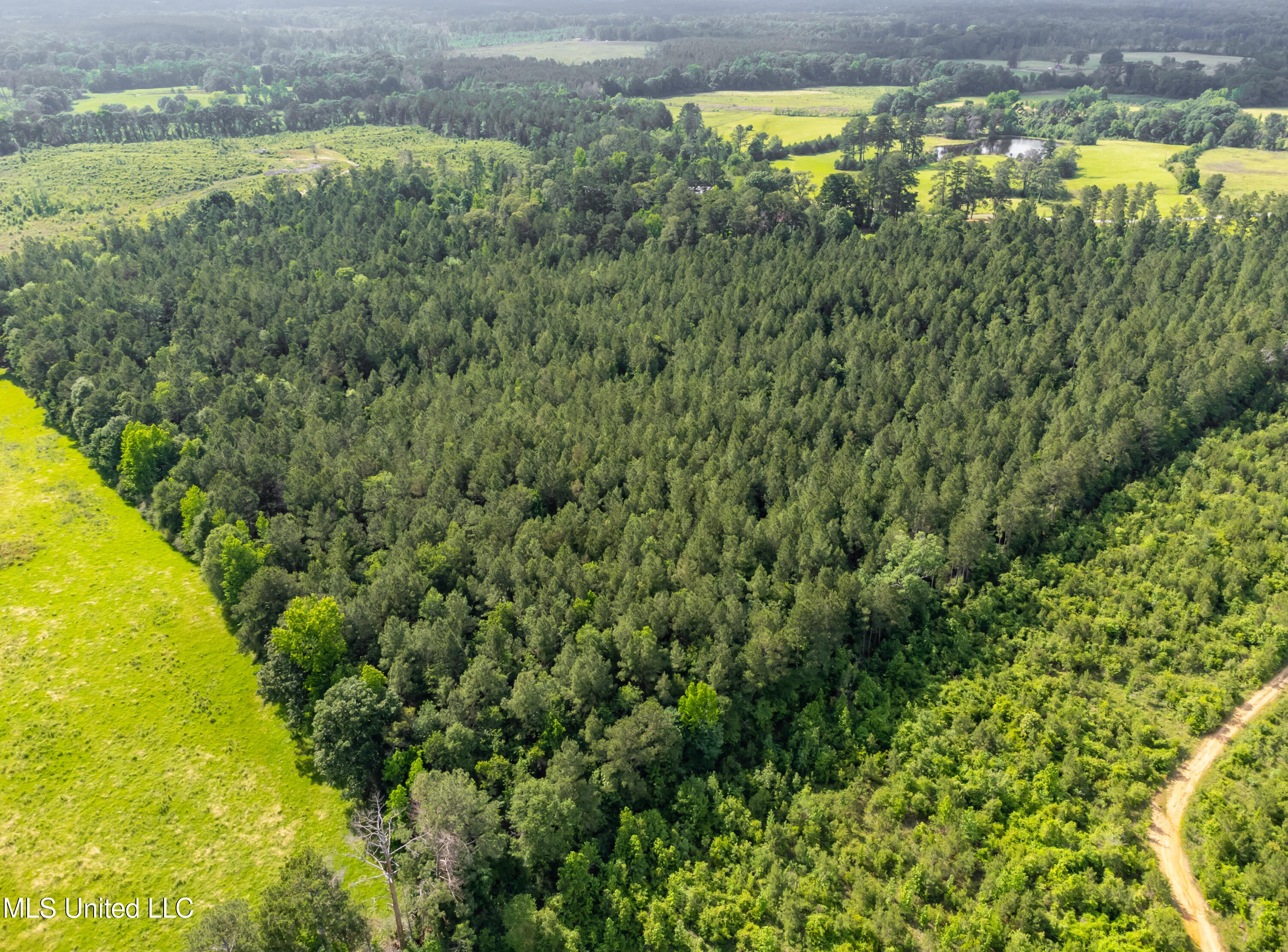 601 Scr 64a Mize, MS 39116 - Photo 86 of 100 601 CR 64A drone-26