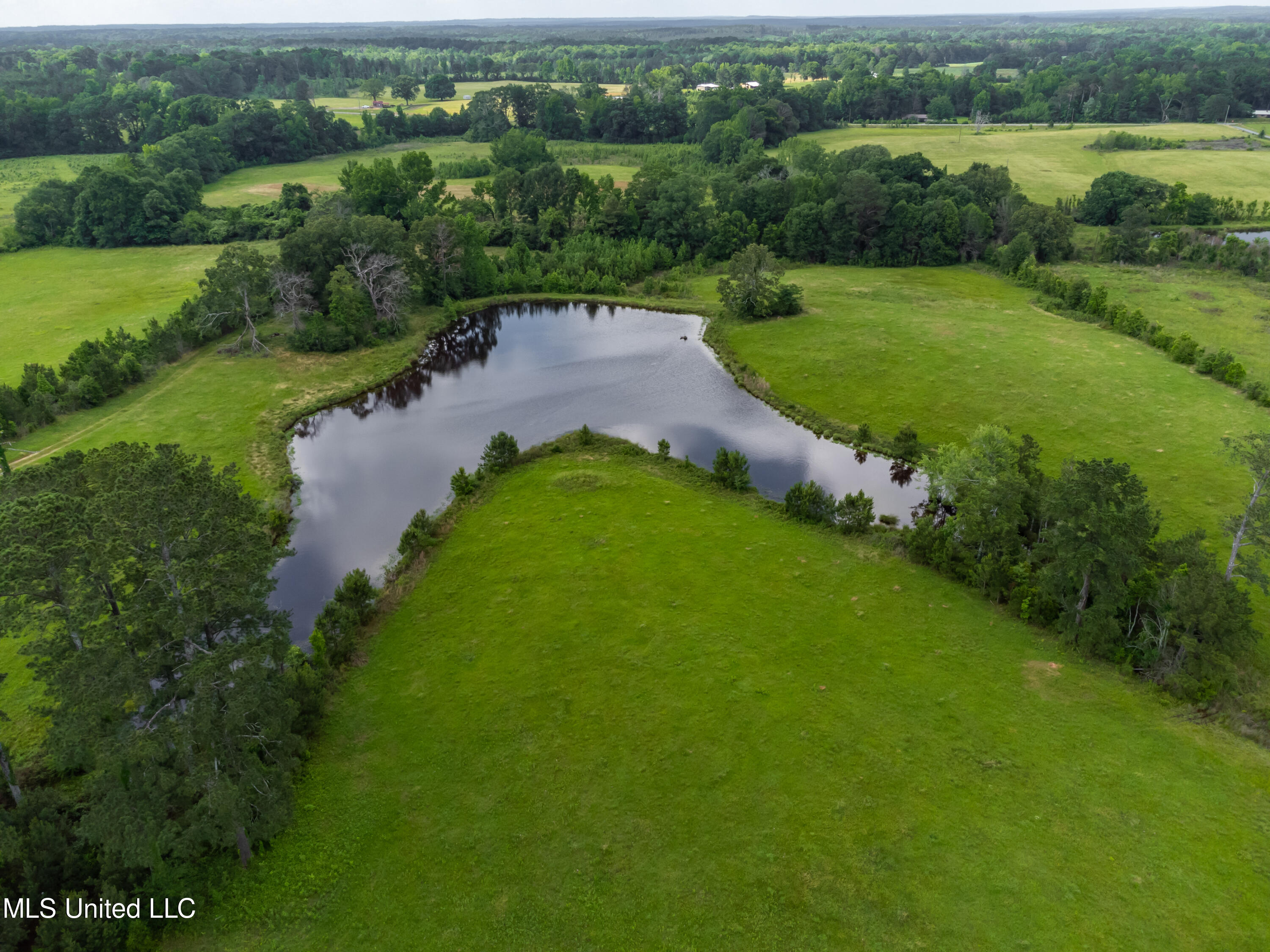 601 Scr 64a Mize, MS 39116 - Photo 96 of 100 601 CR 64A drone