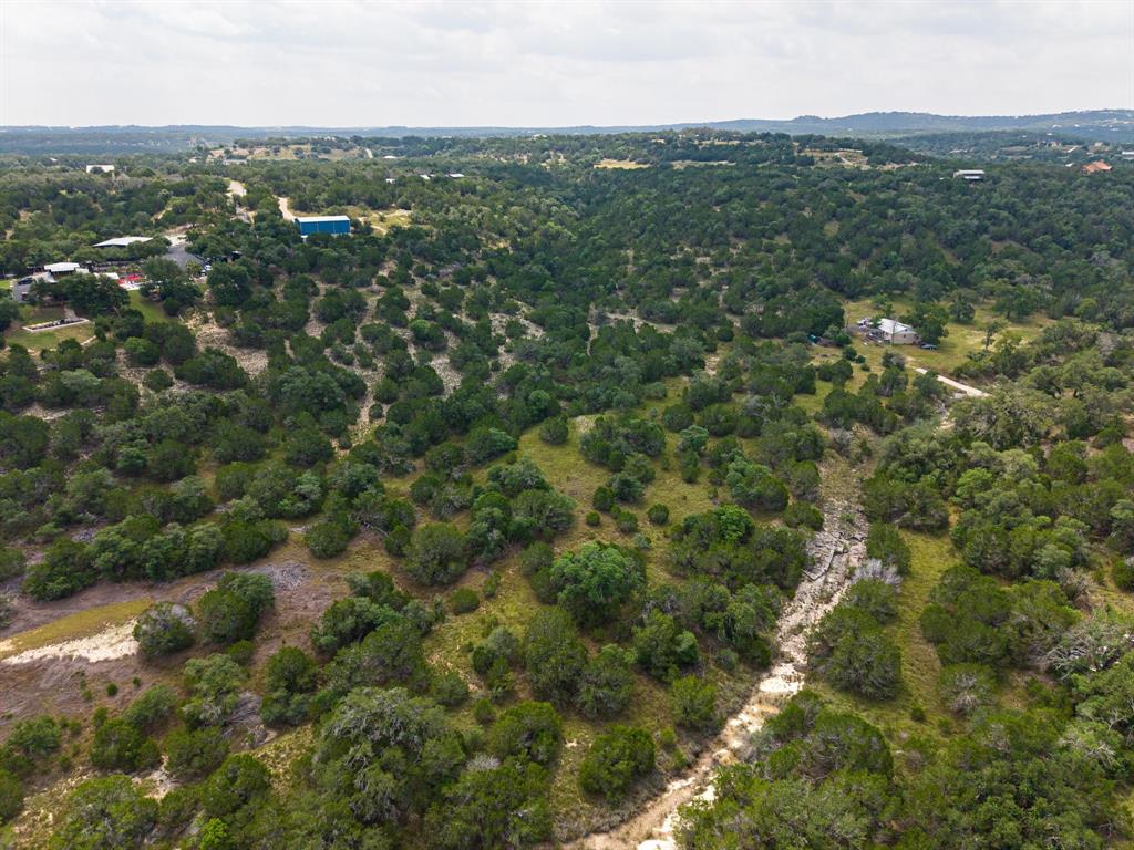121 Spring Cove Dripping Springs, TX 78620 - Photo 4 of 40