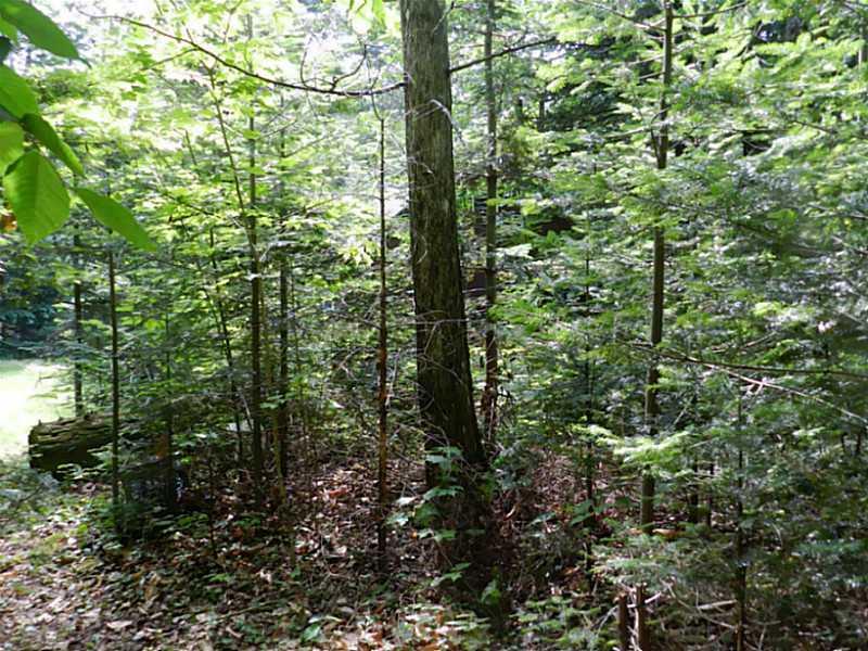 44 Deer Ridge Road Corinna, ME 04928 - Photo 30 of 31 Land.