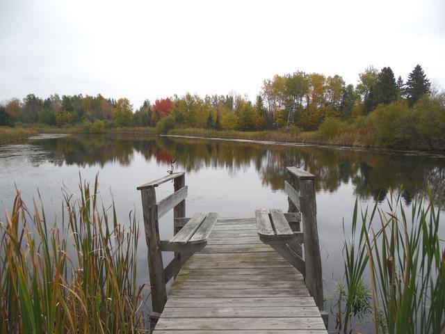 N4521 Galkin Road Gleason, WI 54435 - Photo 3 of 20 Gallery Image 3