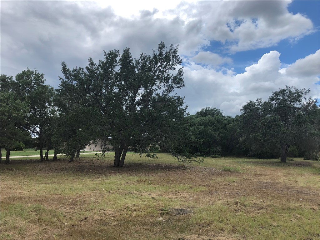 32831 Ranch Road 12 Dripping Springs, TX 78620 - Photo 1 of 1 a view of outdoor space with green space