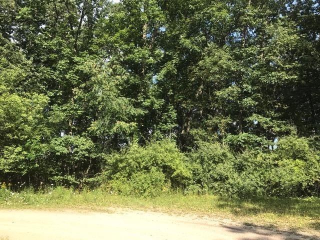 10055 Wildlife Ridge Manchester, MI 48158 - Photo 1 of 3 Photo 1