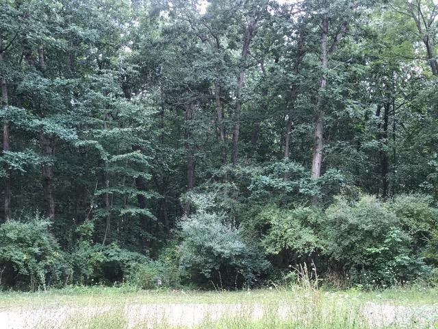 10055 Wildlife Ridge Manchester, MI 48158 - Photo 3 of 3 Photo 3