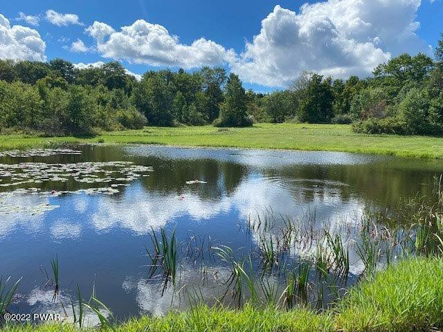 558 State Rte 2010 Forest City, PA 18421 - Photo 6 of 36 Pond (1)
