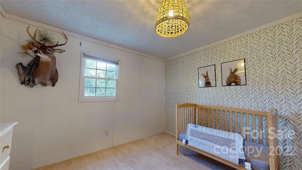 577 Causby Road Morganton, NC 28655 - Photo 28 of 48 Gallery Image 28