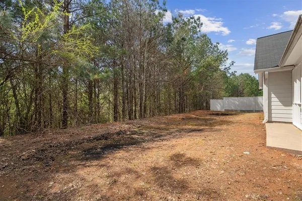 a view of backyard with tree