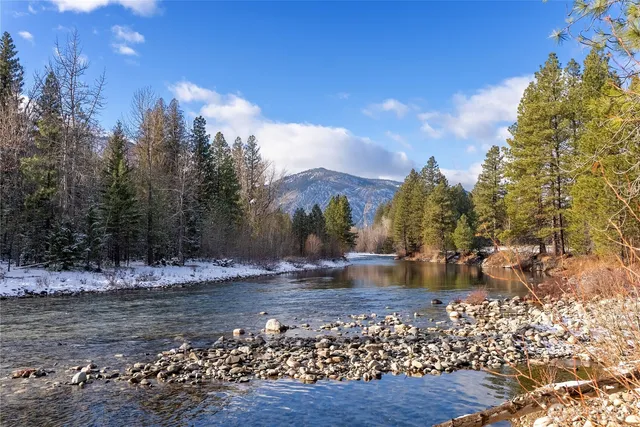a view of a city with lush green forest