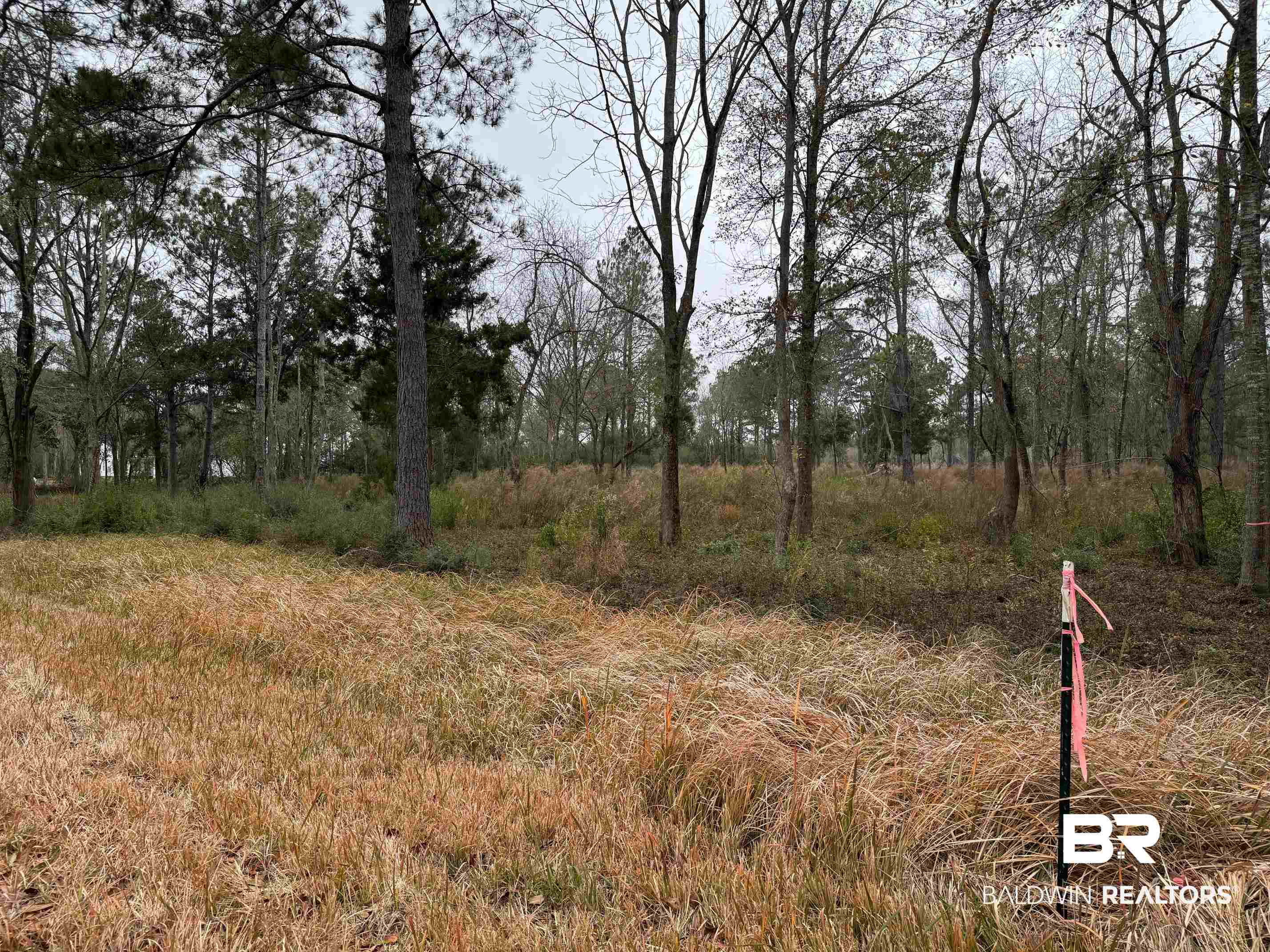 0 Old Brady Road Loxley, AL 36551 - Photo 7 of 7