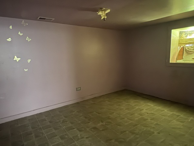 8028 South Normal Avenue Chicago, IL 60620 - Photo 15 of 19 Gallery Image 15