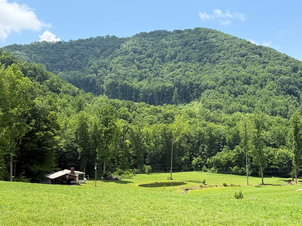 1446 Muskrat Creek Road Hayesville, NC 28904 - Photo 7 of 108