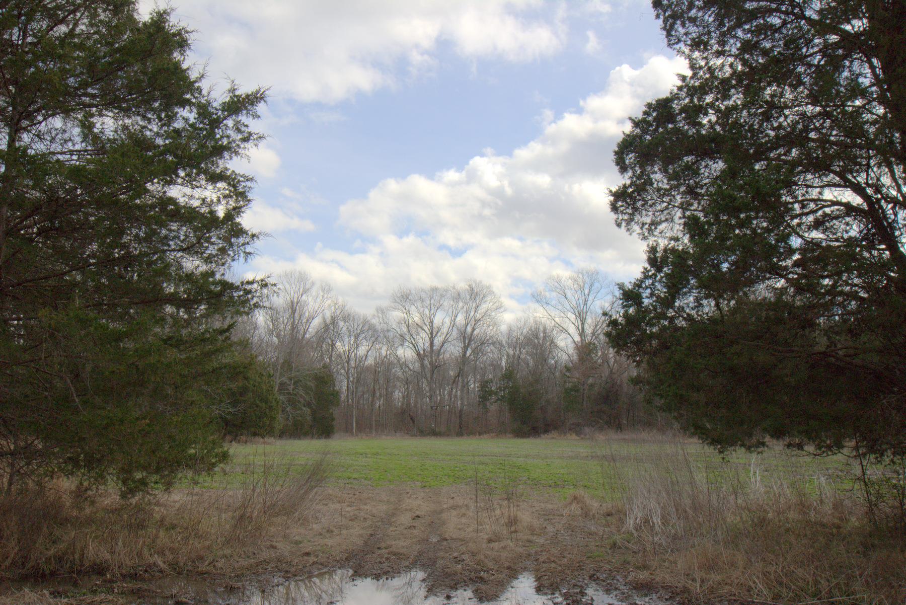 0 Will Nickens Road Lewisburg, TN 37091 - Photo 3 of 6 Gallery Image 3