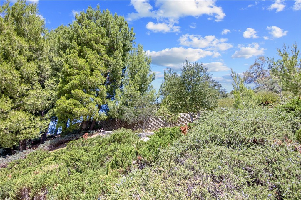 26574 Cardwick Court Newhall, CA 91321 - Photo 28 of 43 View from Back Patio
