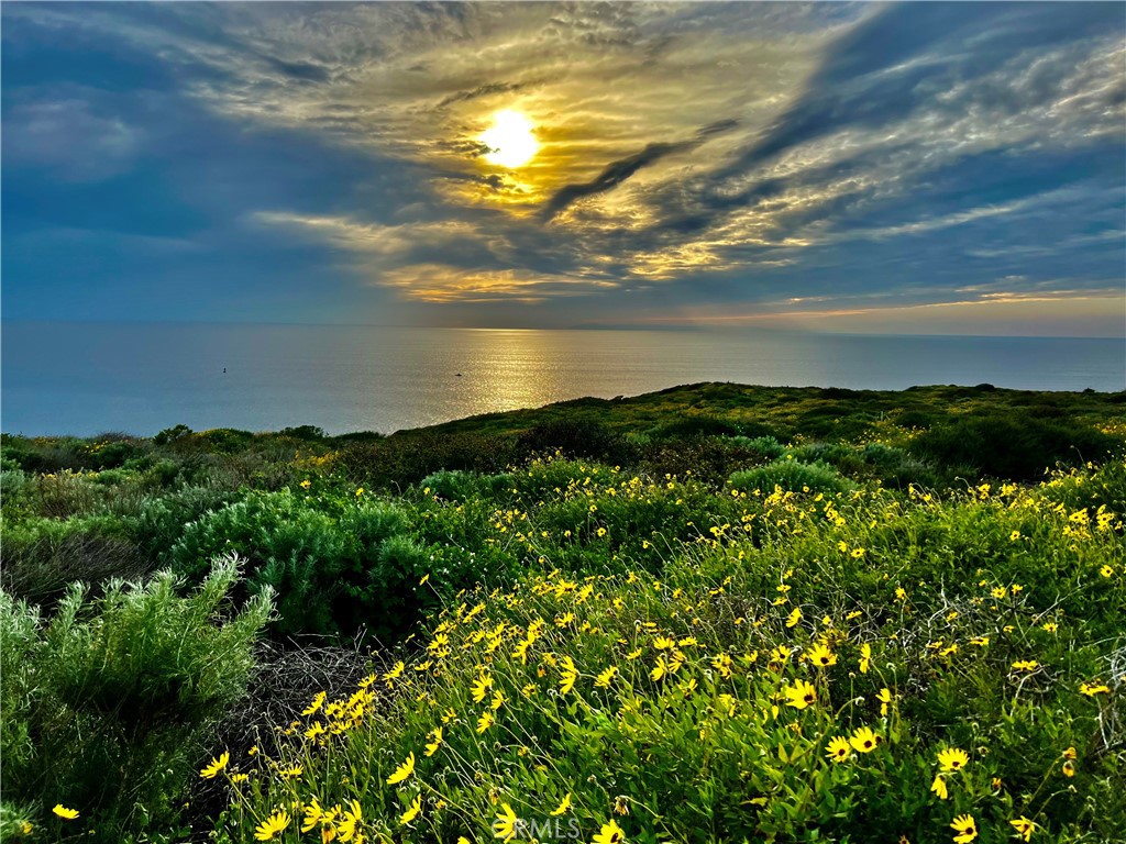 26972 Mill Pond Road Dana Point, CA 92624 - Photo 56 of 60 Gallery Image 56