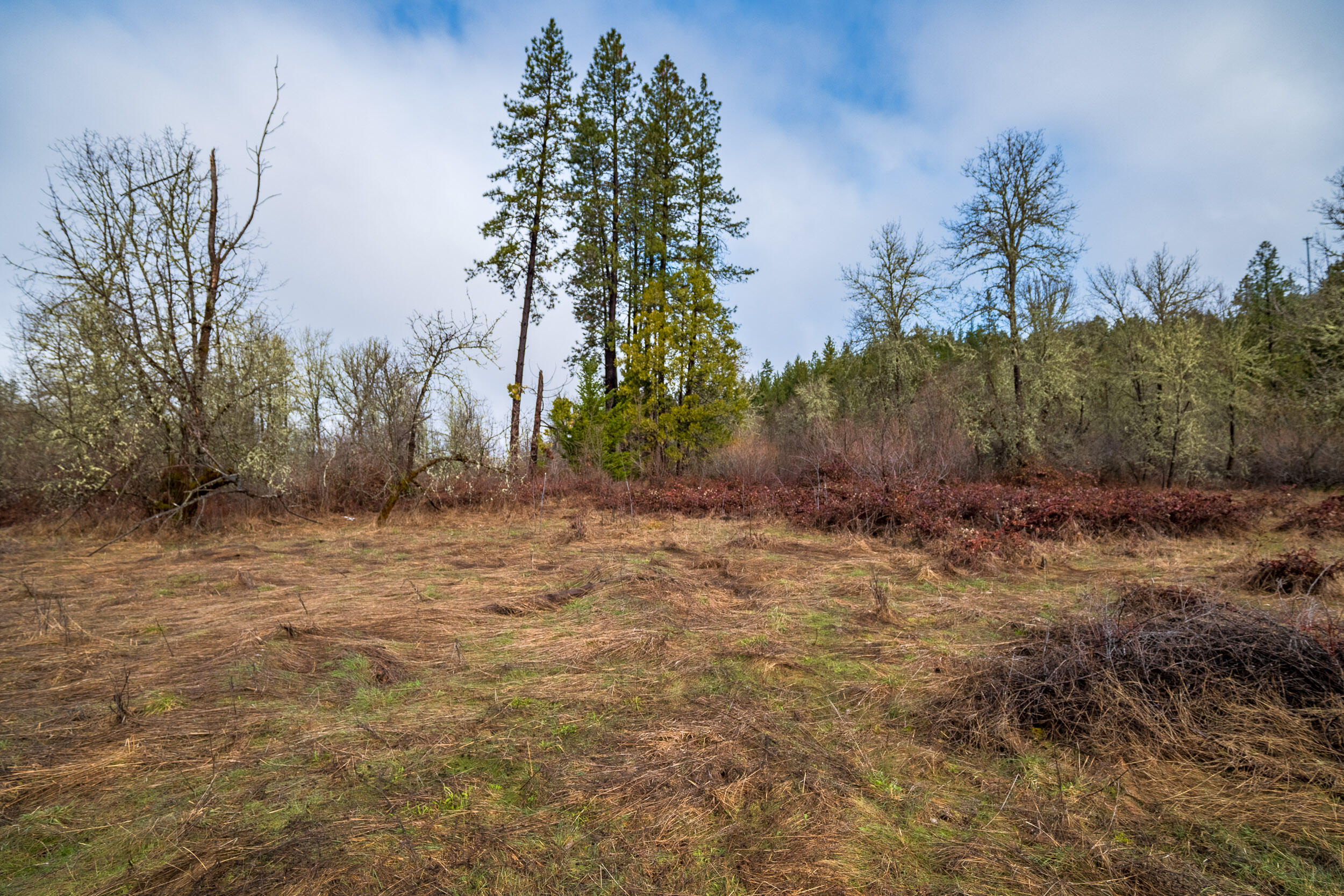 610 South Old Stage Road Cave Junction, OR 97523 - Photo 13 of 25 610SOldstageRd-016