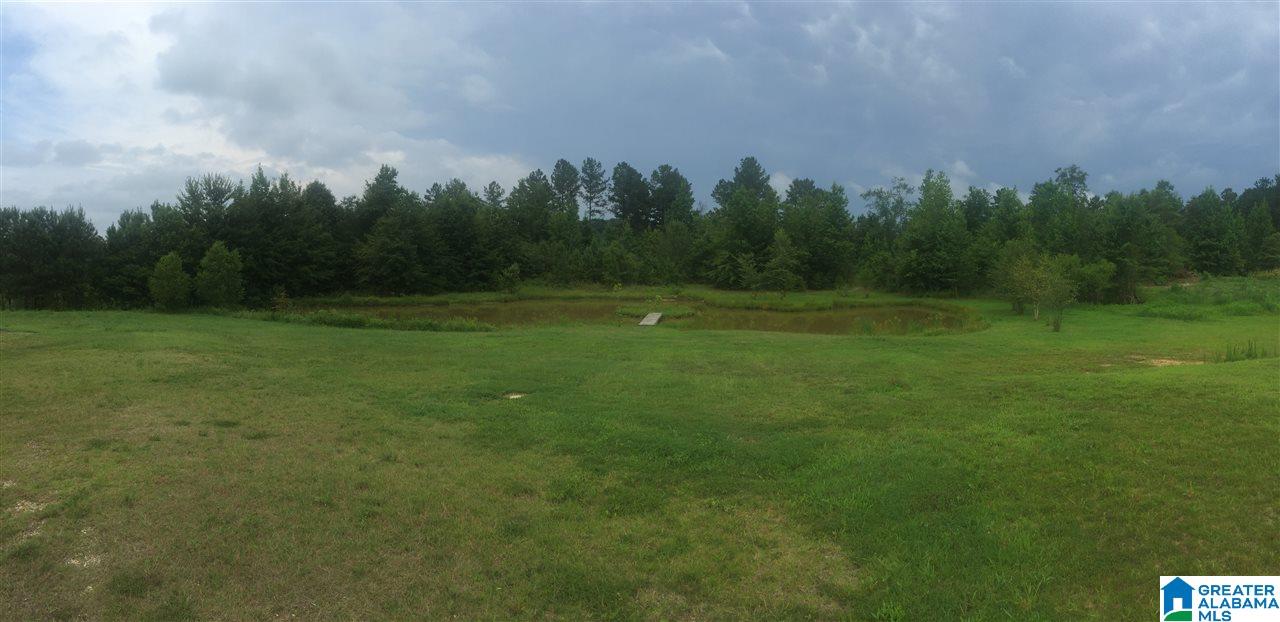 457 Hunters Xing Road Odenville, AL 35120 - Photo 1 of 7