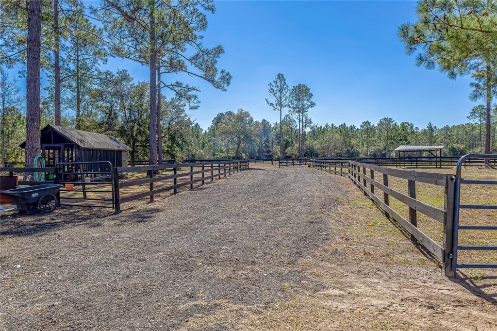 34175 Steeple Chase Way Callahan, FL 32011 - Photo 52 of 66 a view of street with wooden fence