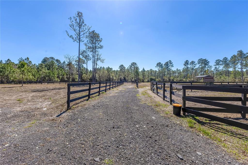 34175 Steeple Chase Way Callahan, FL 32011 - Photo 55 of 66 a view of a yard with wooden fence
