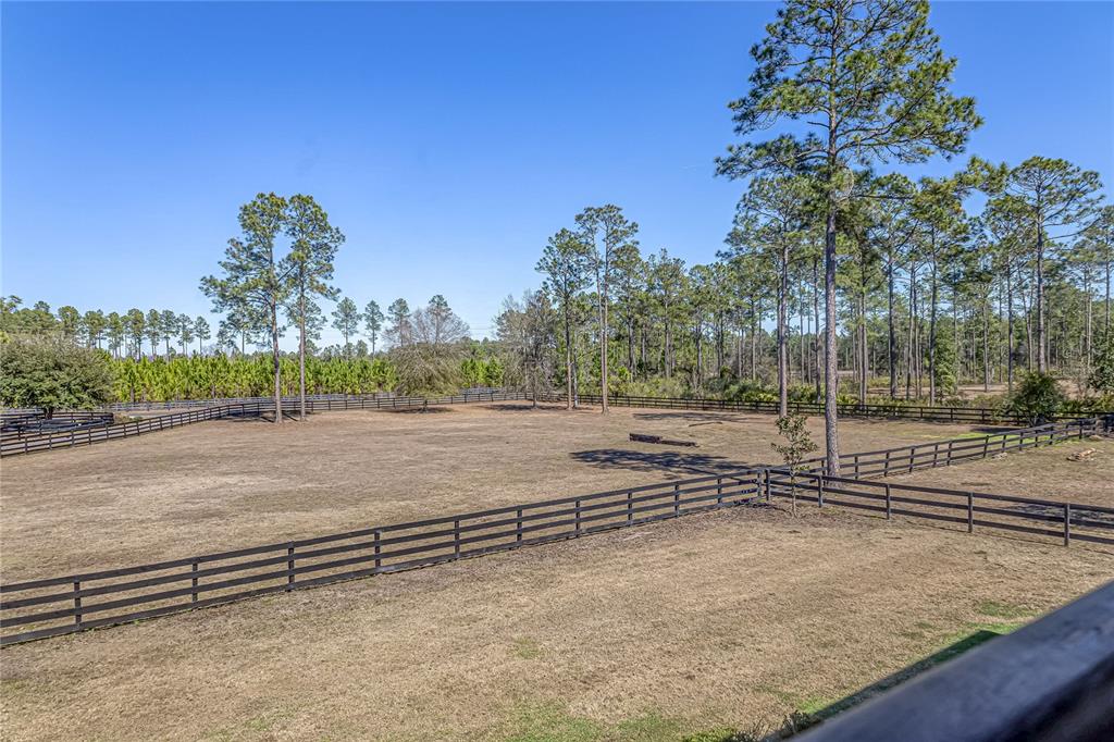34175 Steeple Chase Way Callahan, FL 32011 - Photo 57 of 66